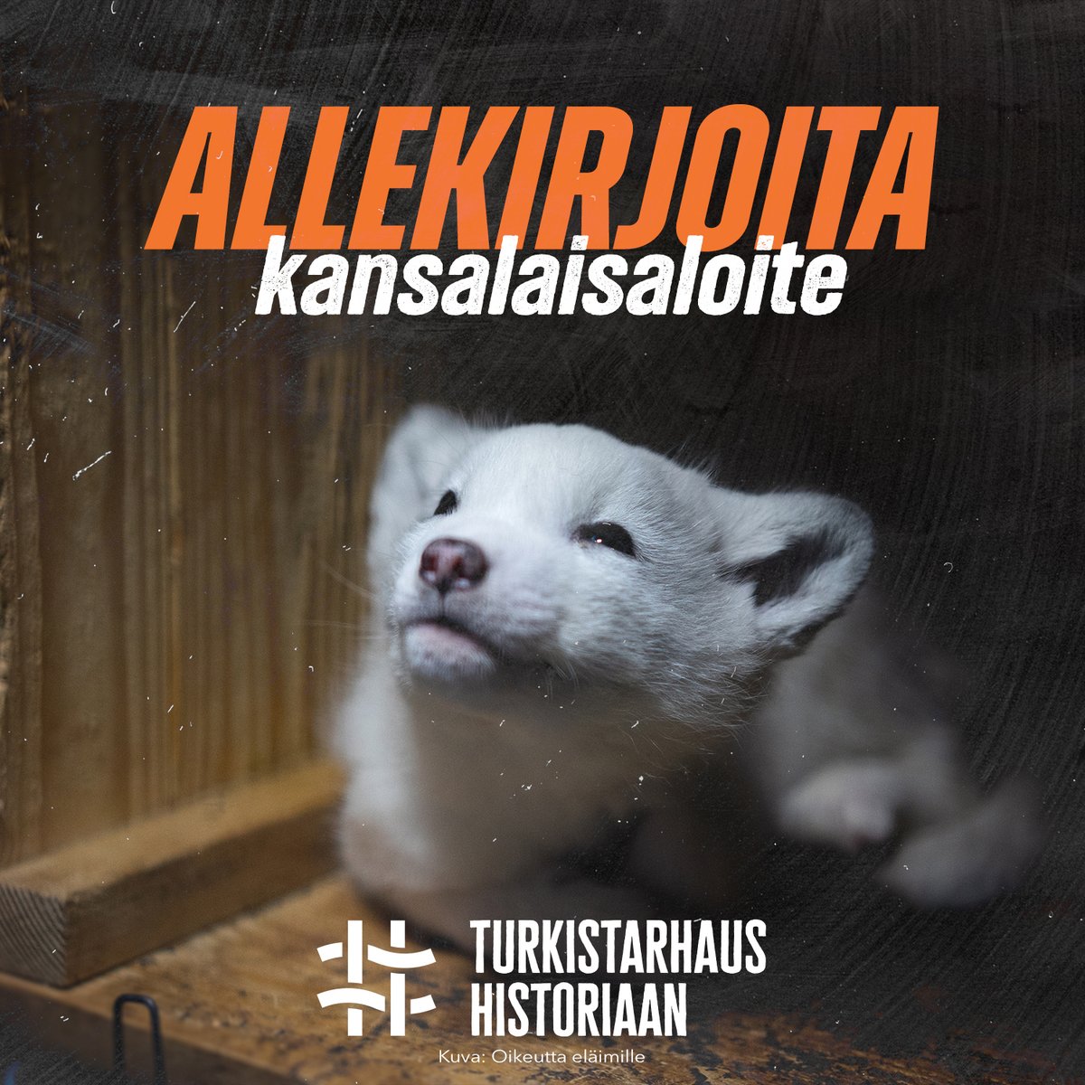 YKES ry tukee Turkistarhaus historiaan -kansalaisaloitetta ja suosittelemme lämpimästi allekirjoittamaan aloitteen osoitteessa:  kansalaisaloite.fi/fi/aloite/12549 #TurkistarhausHistoriaan