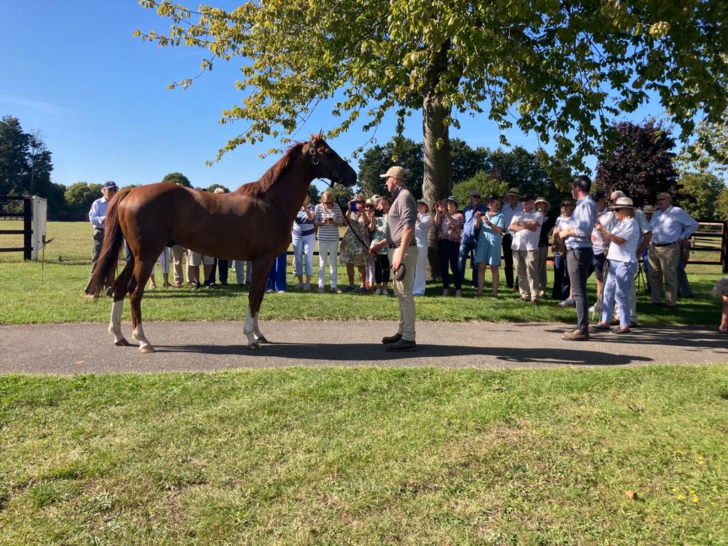 Today has been a proper 'Hot To Trot' day! We had a really memorable afternoon in the sun at the @NatStudStallion visiting the king Stradivarius and his friends, and now on to dinner at the @JockeyClubRooms! 

Days don't get much better than this! ☀️