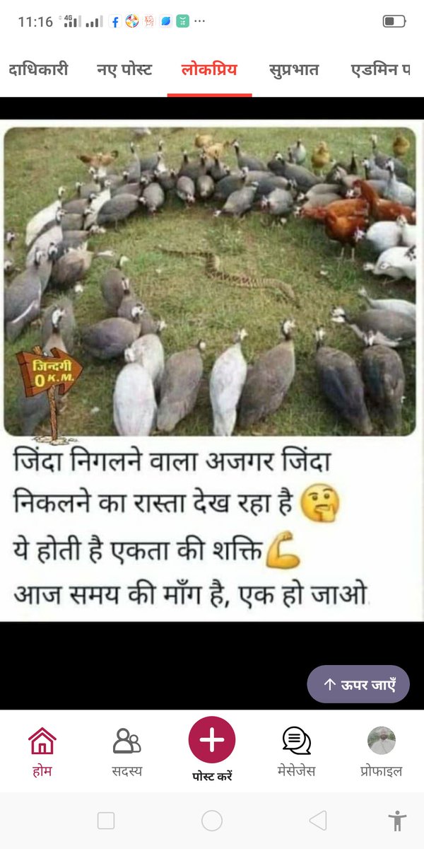 avengers_food's tweet photo. जब हारने का डर भारी हो तभी रेवड़ियां बंटती है, आज तक का राजनीतिक चुनाव सामाजिक कार्य करने के लिए नहीं पर सत्ता पर काबिज़ रहने के लिए होता है, पहले रुपए देकर वोट खरीदे जाते थे लेकिन अब रूप बदल गया है लेकिन कार्य वही हो रहा है , कुछ भी हो बस वोट दे दो https://t.co/RQ6icy7w58