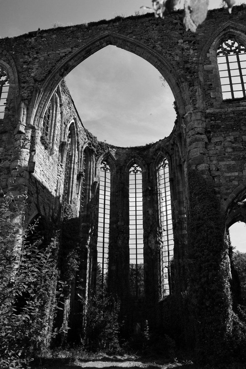 IngridFeyens's tweet photo. #abbaye d'aulne #thuin https://t.co/kBluK4i4AJ
