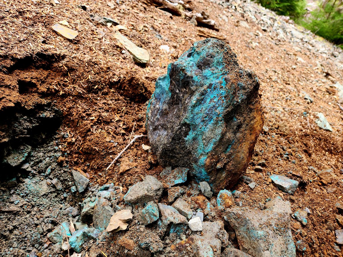 911MININGCO's tweet photo. Massive chalcopyrite boulder pulled out of the dump at the Thistle mine.
#mine #copper #chalcopyrite #mining #malachite #gold #silver #911mining #911explorationcorp #minerals #klm https://t.co/1Lqnc2M4ft