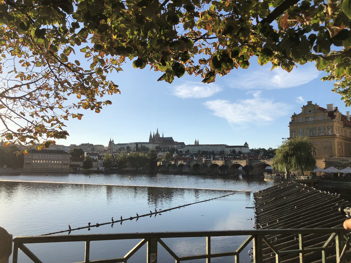 Currently at #ecprgc23 presenting my PhD paper about asylum seeking children in a phase of liminality and discussing our research with wonderful colleagues such as <a href="/DovaineBusch/">Dovainė Buschmann</a> - looking forward to another day of #ECPR_Migration