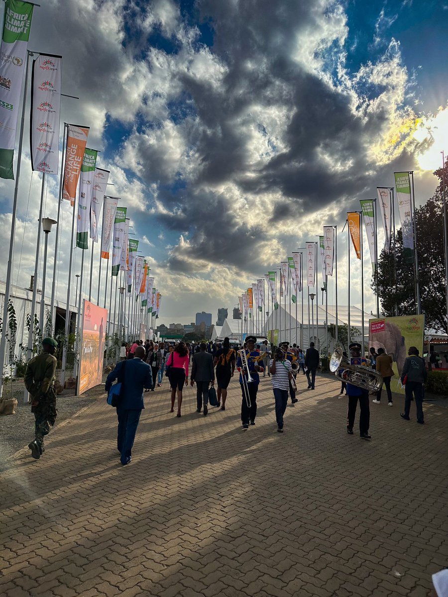 UlrichJvV's tweet photo. It has been an impactful and positive day at the #AfricaClimateSummit23 in Nairobi. 💚🌳 https://t.co/e2vazDDeZx