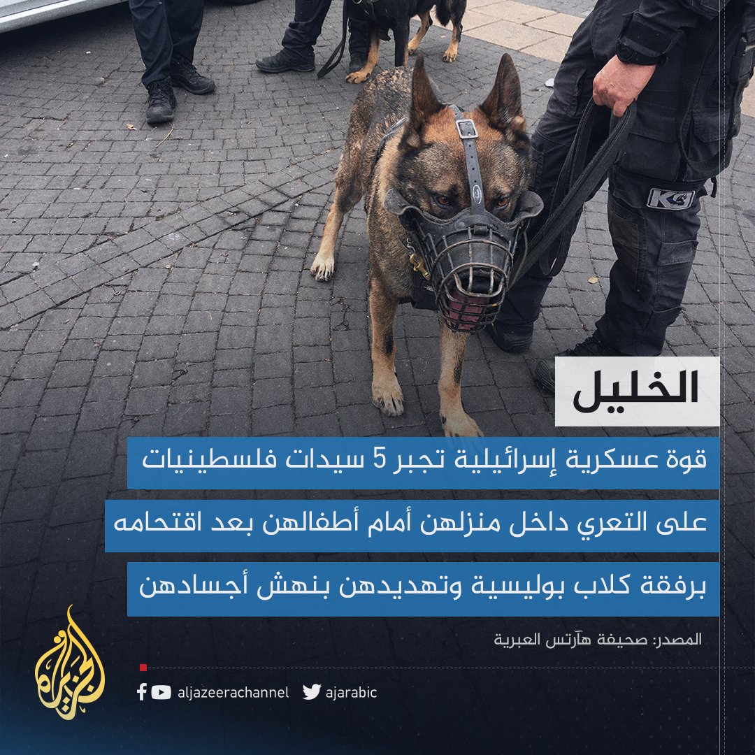 AJArabic's tweet photo. 50 جنديا إسرائيليا يجبرون سيدات فلسطينيات على التعري أمامهم تحت تهديد الكلاب البوليسية بحسب صحيفة هآرتس https://t.co/cEKrSMcV9p