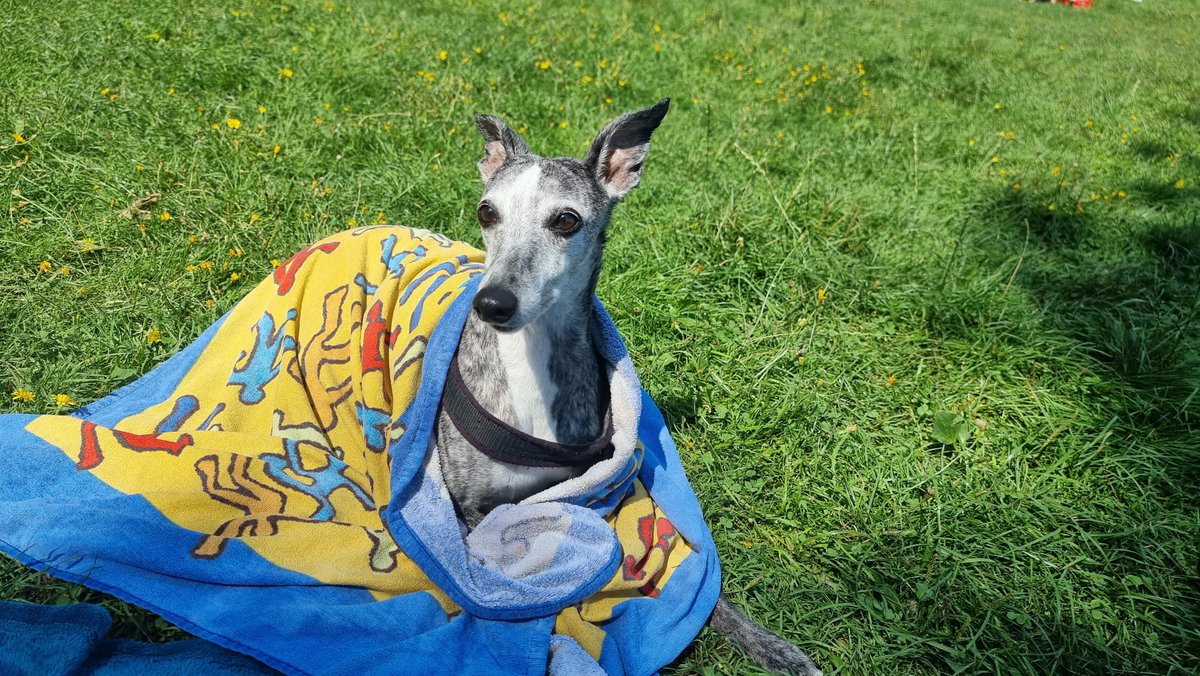 Frau Fichte tweet media