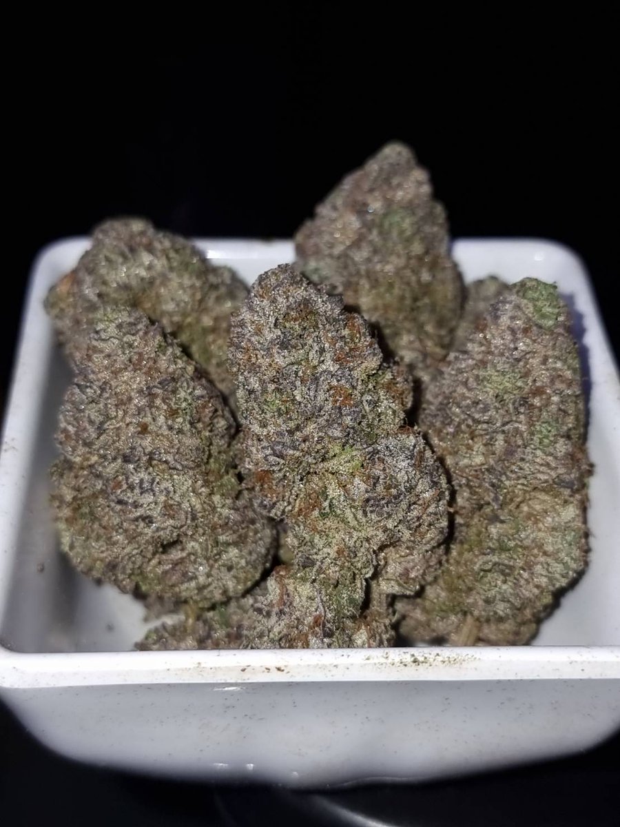 420grandweed's tweet photo. Baltsalt (Litfarm)
THC27%
Hybrid indica dominant
If you need Good stuff Weed Call Me Foxy Homegrow
#cannabisgrower
#CannabisCommunity
#cannabisindustry
#Weedcnx
#WeedOG
#กัญชาเชียงใหม่
#กัญชาออแกนิค
#กัญชาog https://t.co/Svo88OWzn6