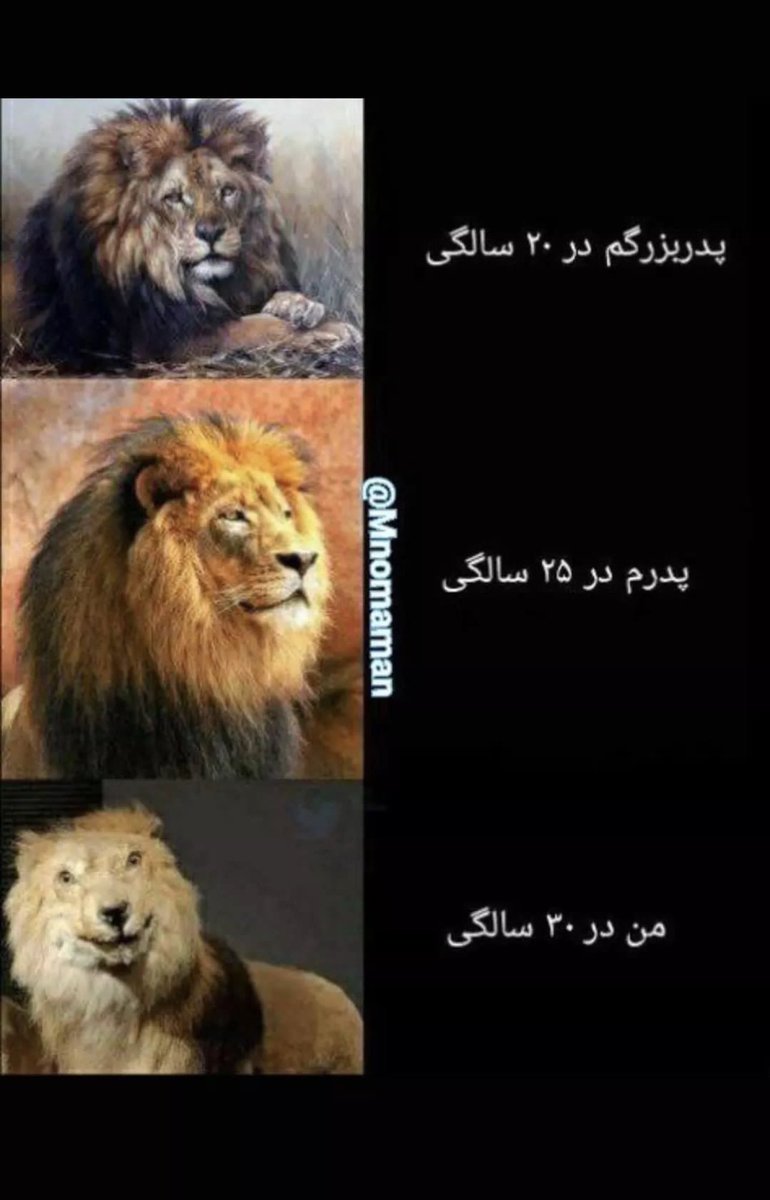 خودشه دقیقا😁