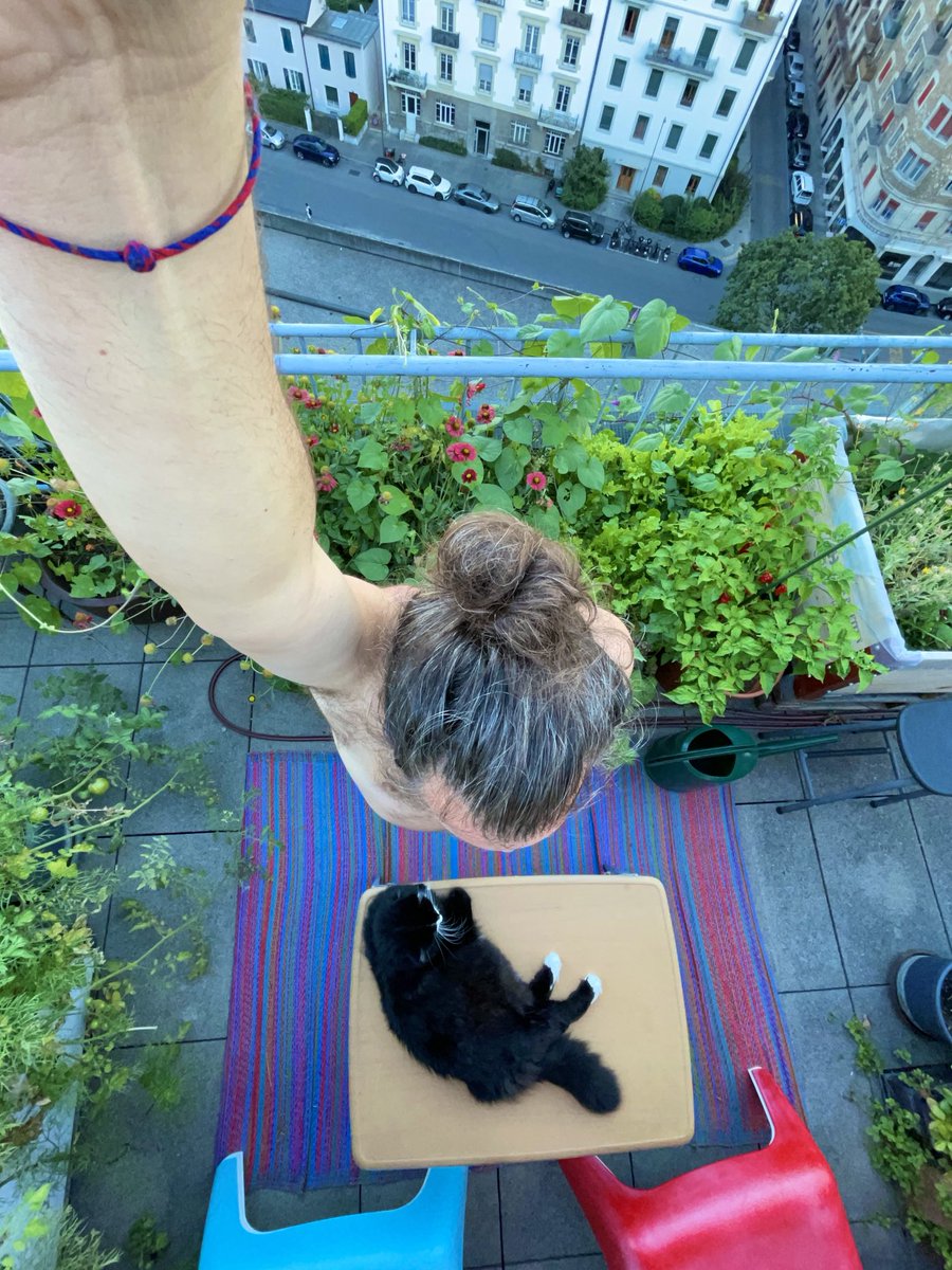 ChatMiles's tweet image. 