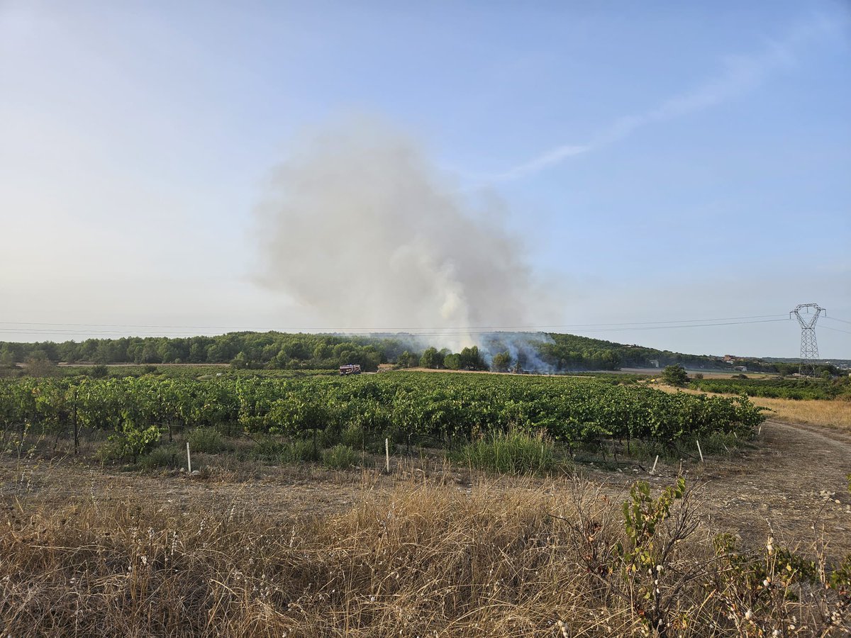 pompiersdugard's tweet photo. Point de situation sur le feu de végétaux en cours sur la commune d’Aigues Vives. Le secteur est à éviter. @Gard @Prefet30 https://t.co/KJnJVs6eC8