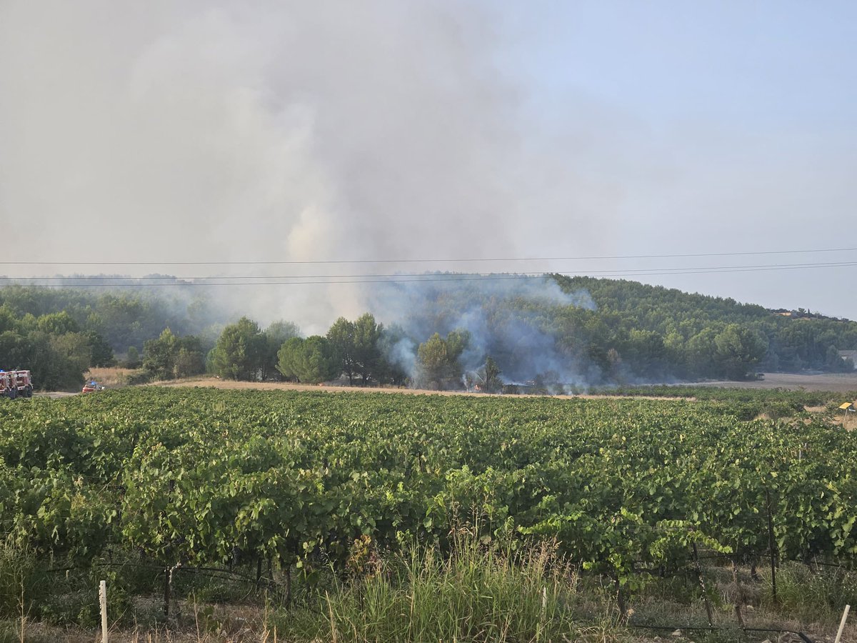 pompiersdugard's tweet photo. Point de situation sur le feu de végétaux en cours sur la commune d’Aigues Vives. Le secteur est à éviter. @Gard @Prefet30 https://t.co/KJnJVs6eC8