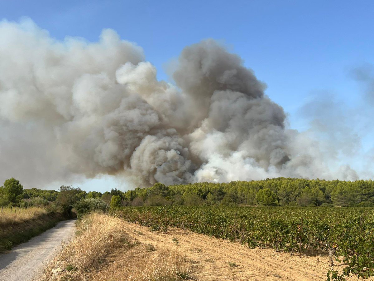 pompiersdugard's tweet photo. Point de situation sur le feu de végétaux en cours sur la commune d’Aigues Vives. Le secteur est à éviter. @Gard @Prefet30 https://t.co/KJnJVs6eC8