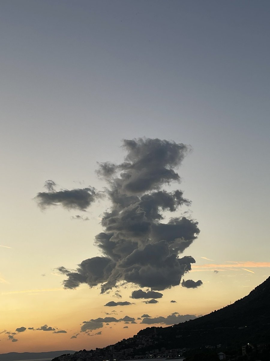 Sue 🏔🦋📸🏝🏃‍♀️ tweet media