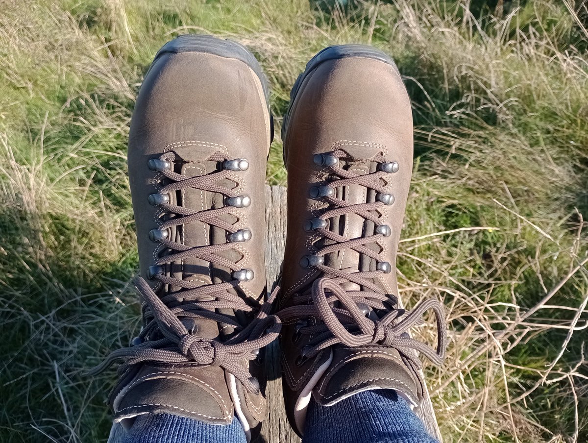 Spent day one of my first full week of retirement on a very hot walk - section 5 of the London LOOP taking in Riddlesdown, Kenley Common, Happy Valley and Farthing Downs. Also a chance to test out the new boots bought with part of my leaving present from work. #LondonLOOP