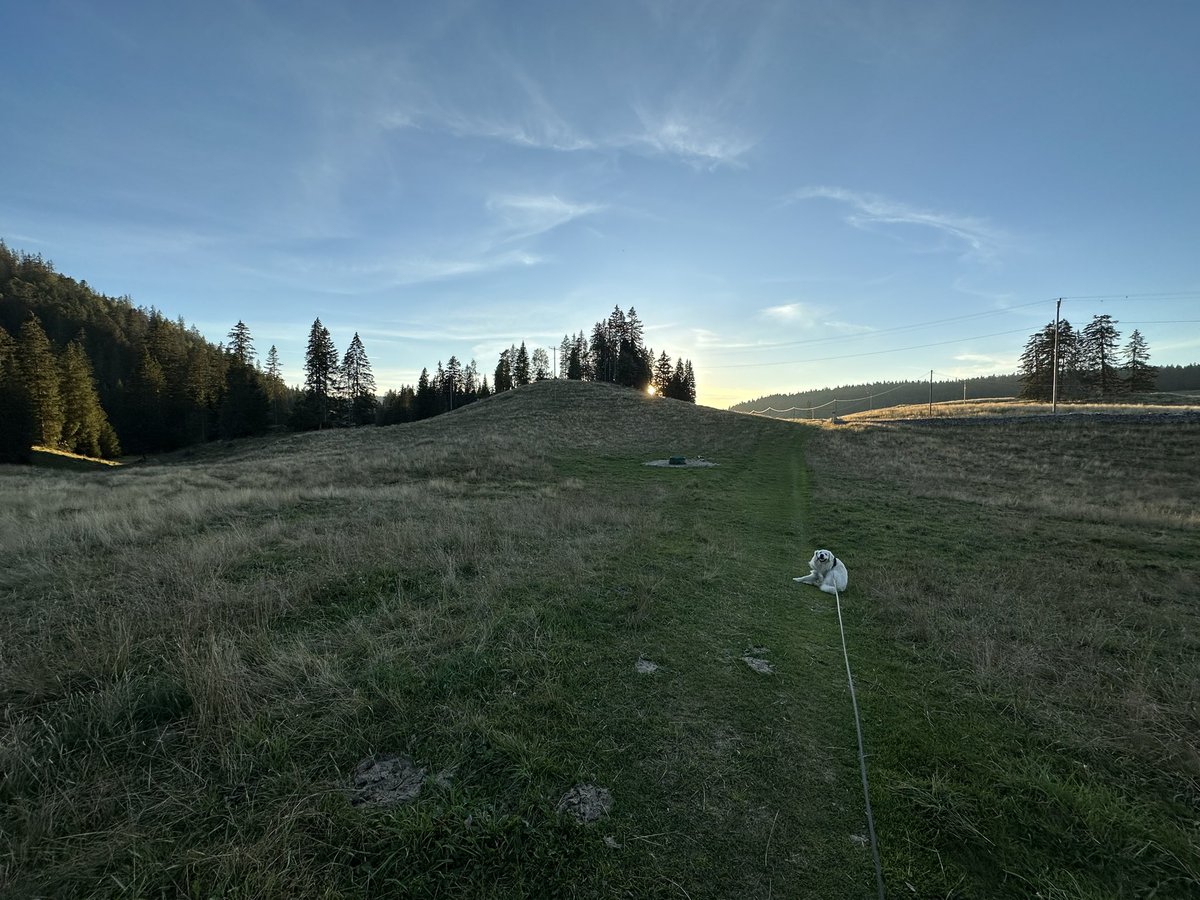 bhillou's tweet photo. I have the most beautiful regular dog walks in the world :) #nofilter #mountains #bliss https://t.co/cv2aHFgeh5