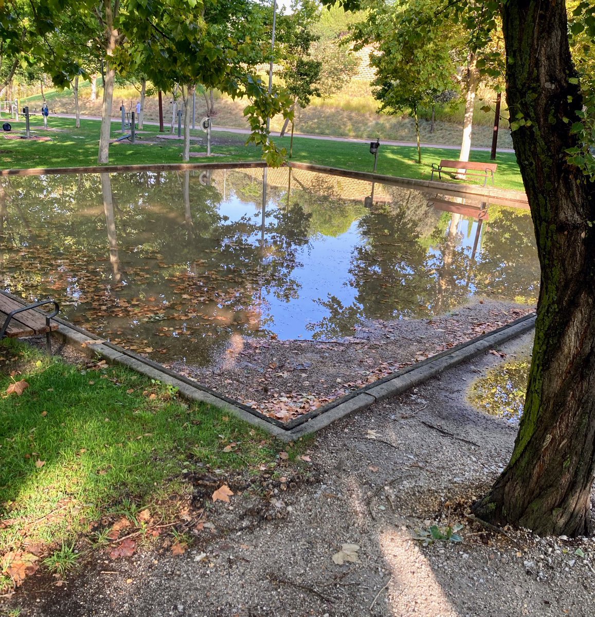trescantos's tweet photo. #trescantos Pista de petanca inundada en el parque central https://t.co/WI9fmoYlPt