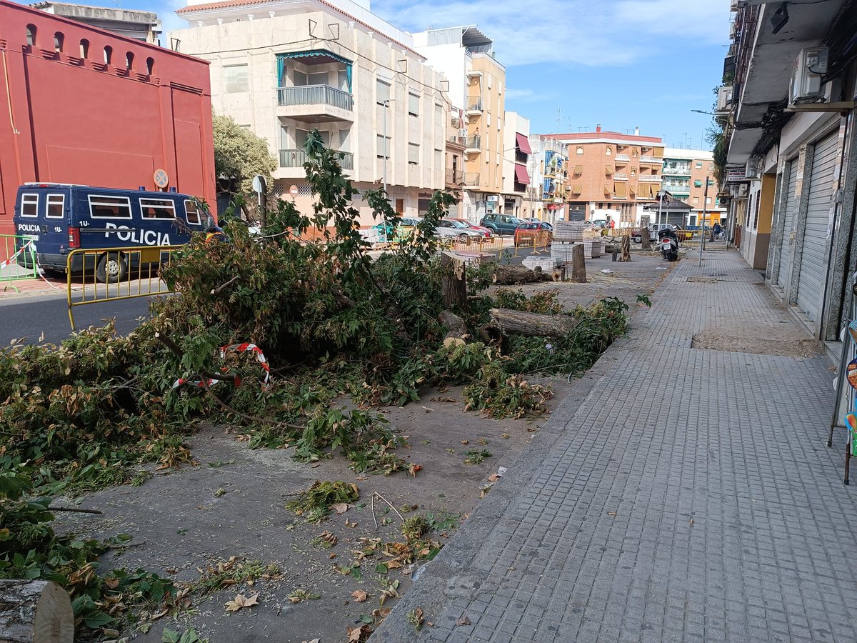 La.irracionalidad municipal no cesa. De nuevo la remodelación de calles elimina el arbolado. Esta vez en la Cuesta de la Polvora. #Cordoba Mantenella y no enmendalla <a href="/ayuncordoba_es/">Ayuntamiento Córdoba</a> <a href="/jmbellidoroche/">José Maria Bellido</a>