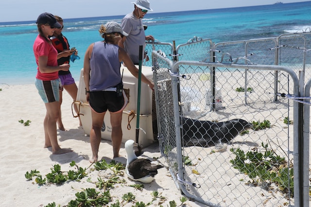 Do you have a career in ocean science and marine conservation? If so, we’d love to hear how you got started in your career, what inspired you, and what you love most about your job? #Careers #oceanscience #marineresearch #oceanresearch #marinebiology #jobs #oceans