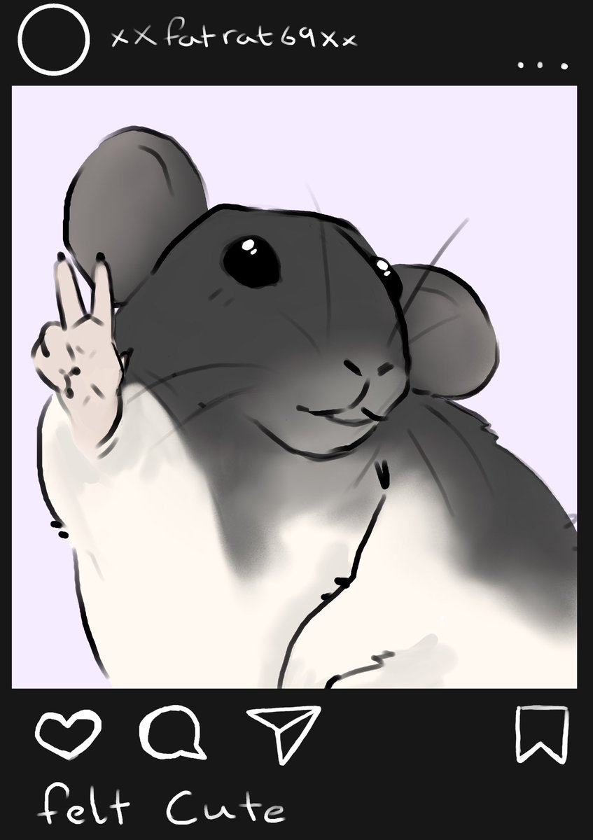 RatGirlFaye's tweet photo. Rat https://t.co/qFyFY5OSUI