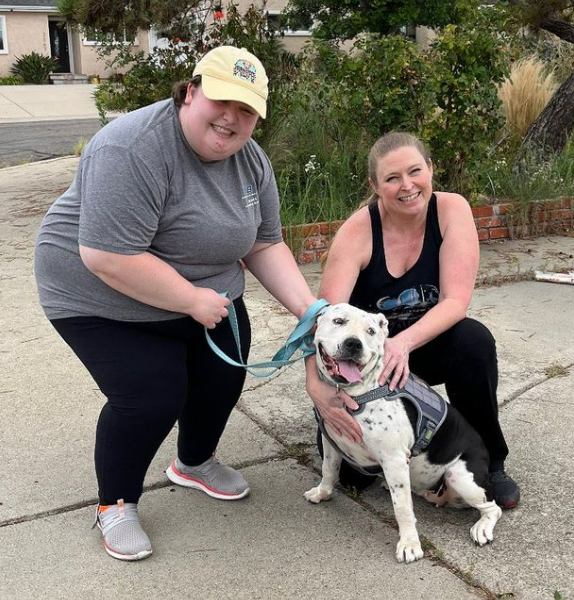 🥰 Sun 9-3 was Gotcha Day for Downey CA survivor Cleopatra 🎉🩵🎉Sandy Paws Sanctuary found a fabulous furever home for our sweet girl 😀 Village, thank you for helping her on her journey, and many thanks to our good friend @MicheleaudreyB for fostering 🙏
#A5553411