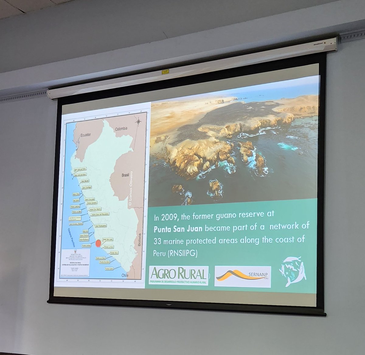 Y apareció <a href="/ProgramaPSJ/">Punta San Juan Program</a> dentro de las charlas en el <a href="/IPC_penguins/">International Penguin Conference</a> 💕🐧 un pedacito de 🇵🇪 en 🇨🇱
And here is it! <a href="/ProgramaPSJ/">Punta San Juan Program</a> in one of the talks at the <a href="/IPC_penguins/">International Penguin Conference</a>  a bit of 🇵🇪 in 🇨🇱 my heart is full now ✨💕