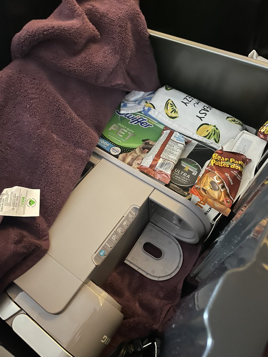 Kaitlyn Morgan tweet media