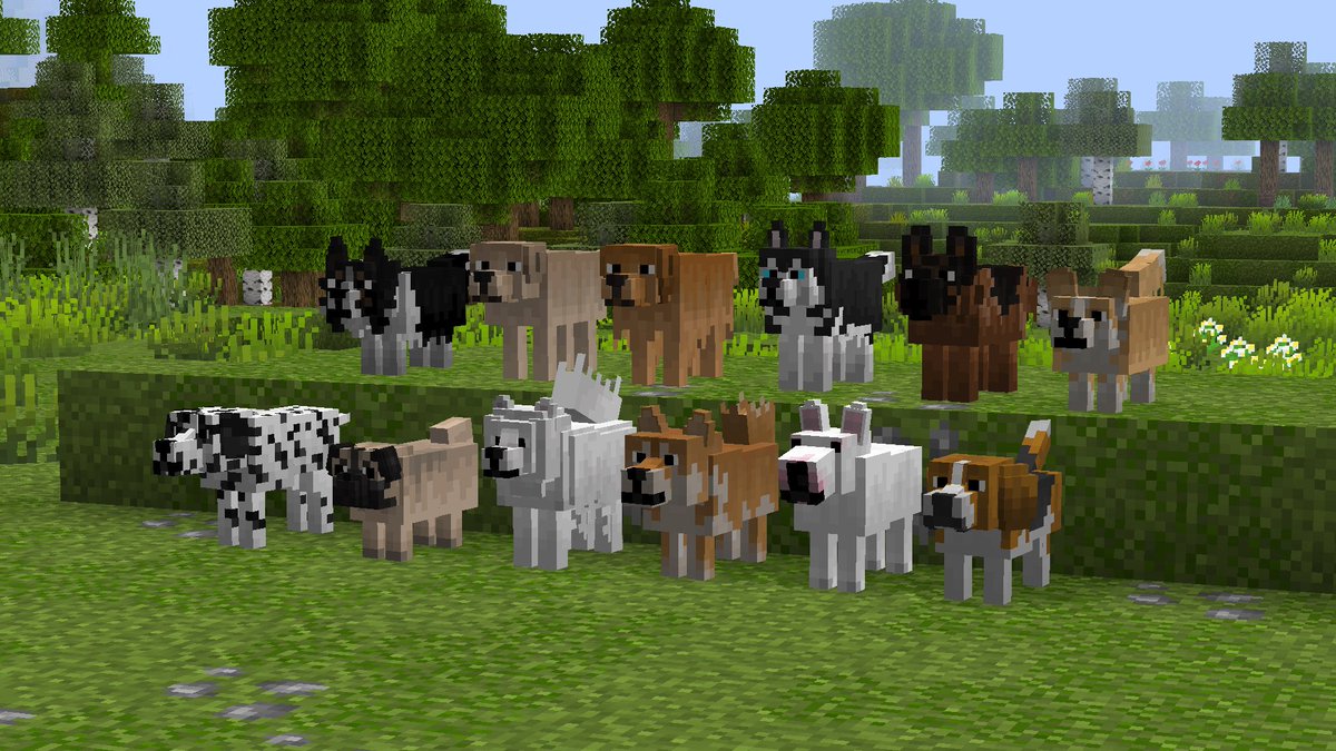 Andrew (Toycat) tweet media