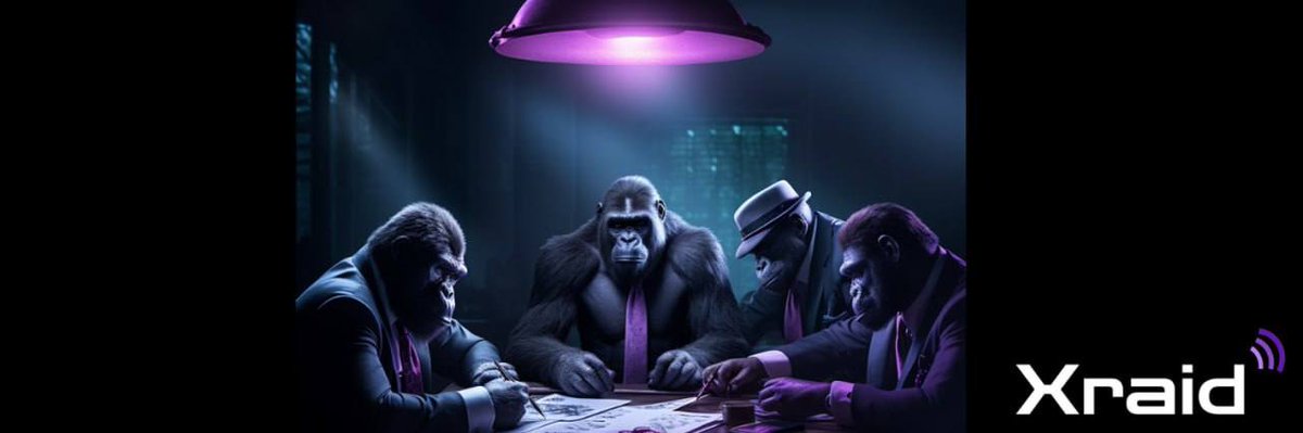 OGSnowQueen's tweet photo. @jamiekingston If you're not holding $XRAID then you're a Joker. It's time to DCA https://t.co/b56KRw2lb5