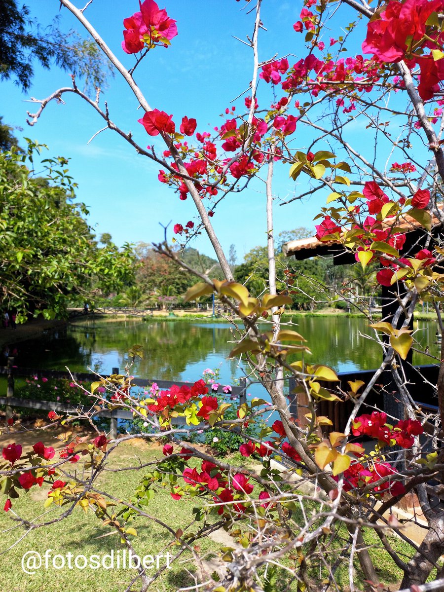 Dilbertrj's tweet image. 