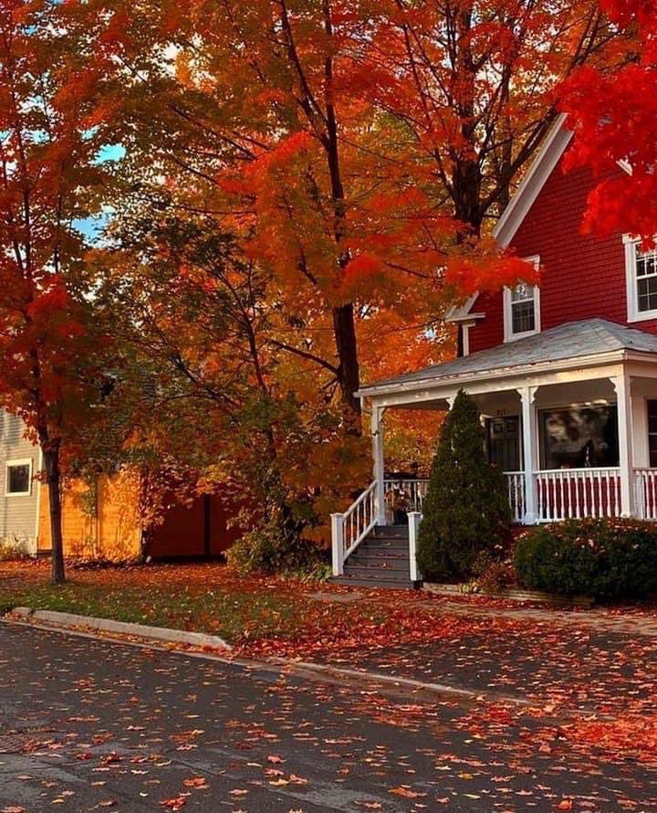 aperfectpumpkin's tweet photo. The best time of year 😍 https://t.co/AiYmnTD7GT