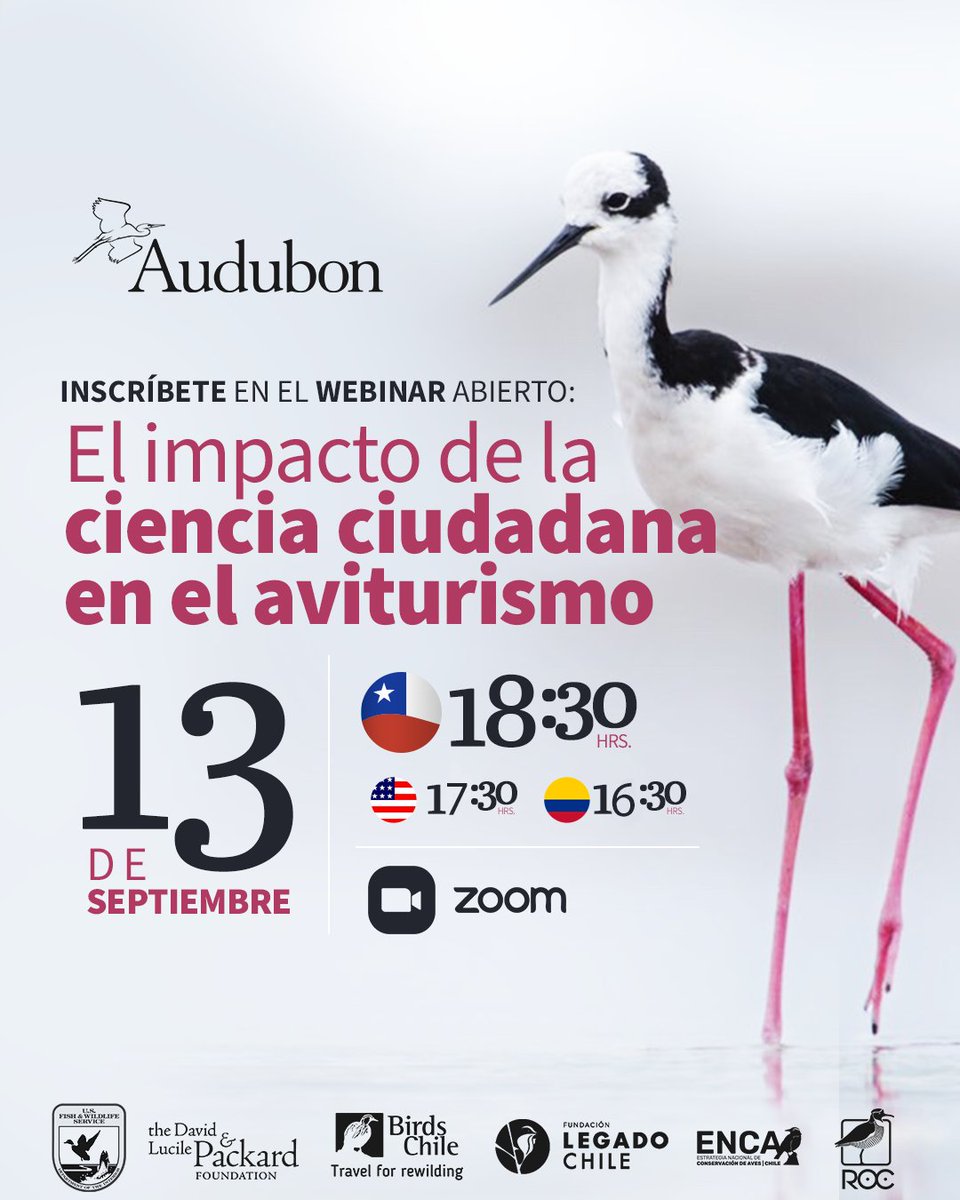 Audubon América Latina y El Caribe tweet media
