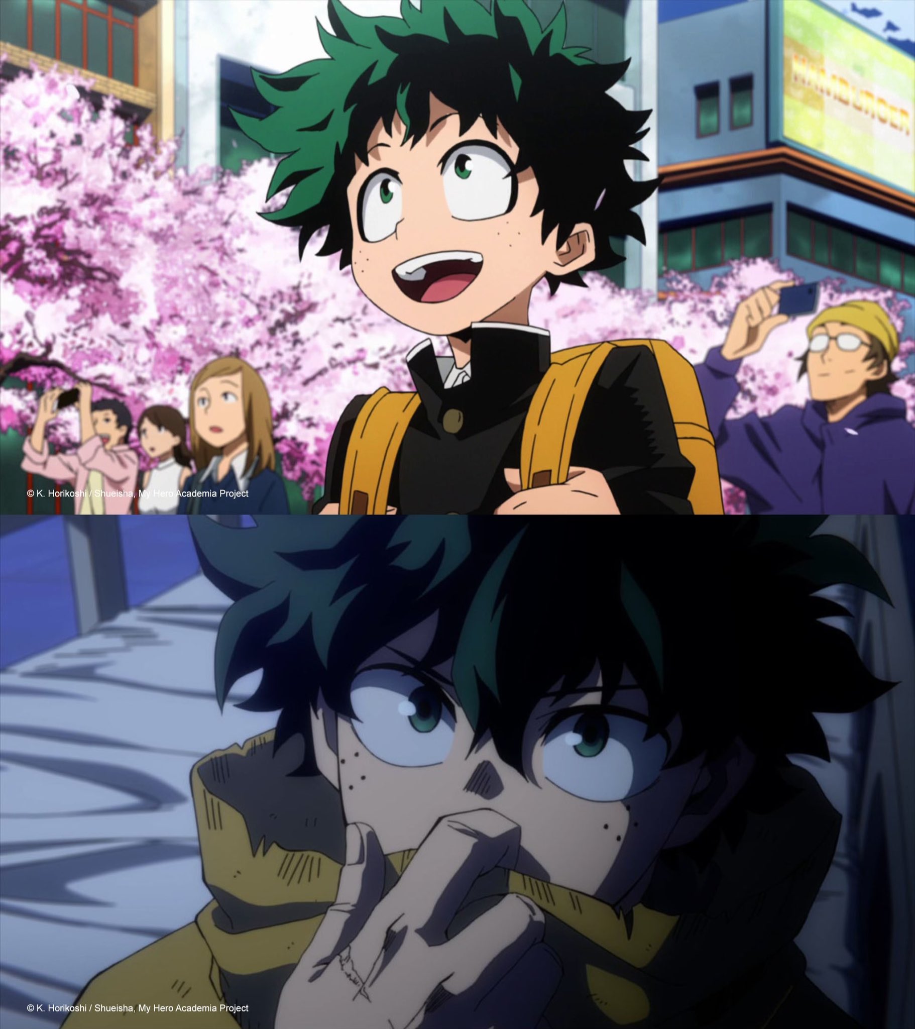 How to watch My Hero Academia in order