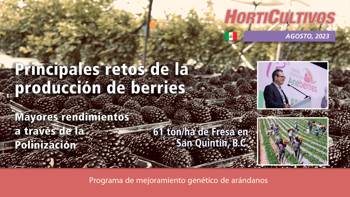 HortiCultivos's tweet photo. Estimado Agricultor:
La versión digital de #HortiCultivos AGOSTO 2023 ya está disponible. Con sólo un click en el enlace, podrá acceder a ella: https://t.co/obBbcMKyJm
.
.
.
#berries #polinizacion #produccion #fresa #arandanos #Aneberries #tomate #produccion #horticultura https://t.co/ya6pGvKVYC