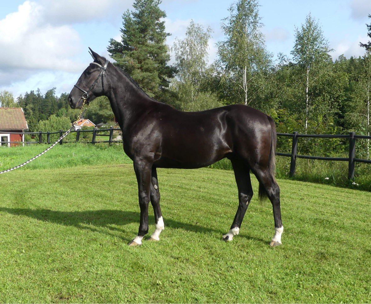 Flenmo Egendom AB tweet media