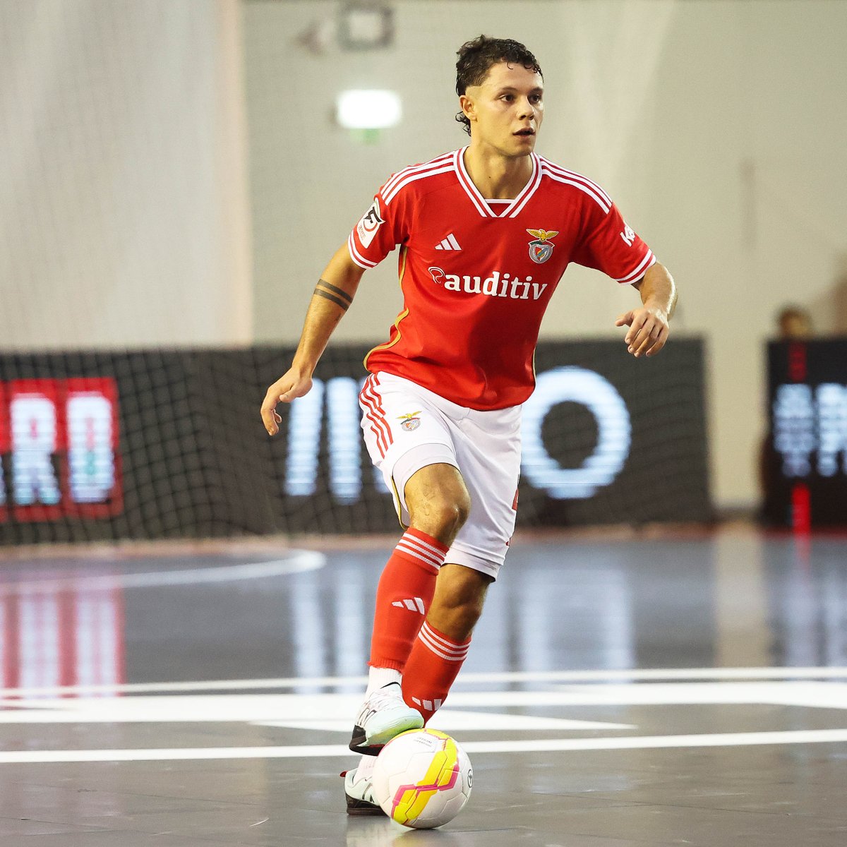 modalidadesslb's tweet photo. 🇵🇹⚽ Bruno Coelho, @AfonsoMariadeJ1 e @C_Monteiro10 𝐜𝐨𝐧𝐯𝐨𝐜𝐚𝐝𝐨𝐬 para o arranque da Ronda de Elite de qualificação para o Mundial!

#SejaOndeFor • #FutsalBenfica