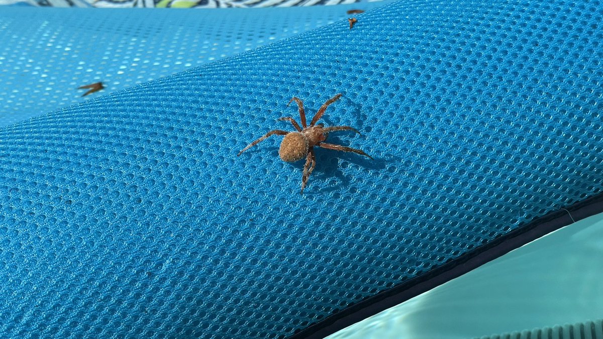 Eric Lange tweet media