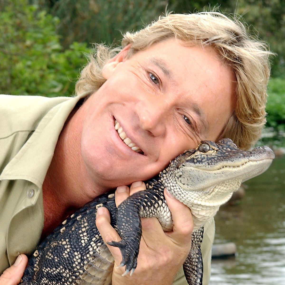 Australian zookeeper #SteveIrwin was killed by a stingray #onthisday in 2006. 🐊 #TheCrocodileHunter #conservationist #naturalist #herpetologist #zoologist #CrocodileHunter #trivia #OceansDeadliest #Crocoseum