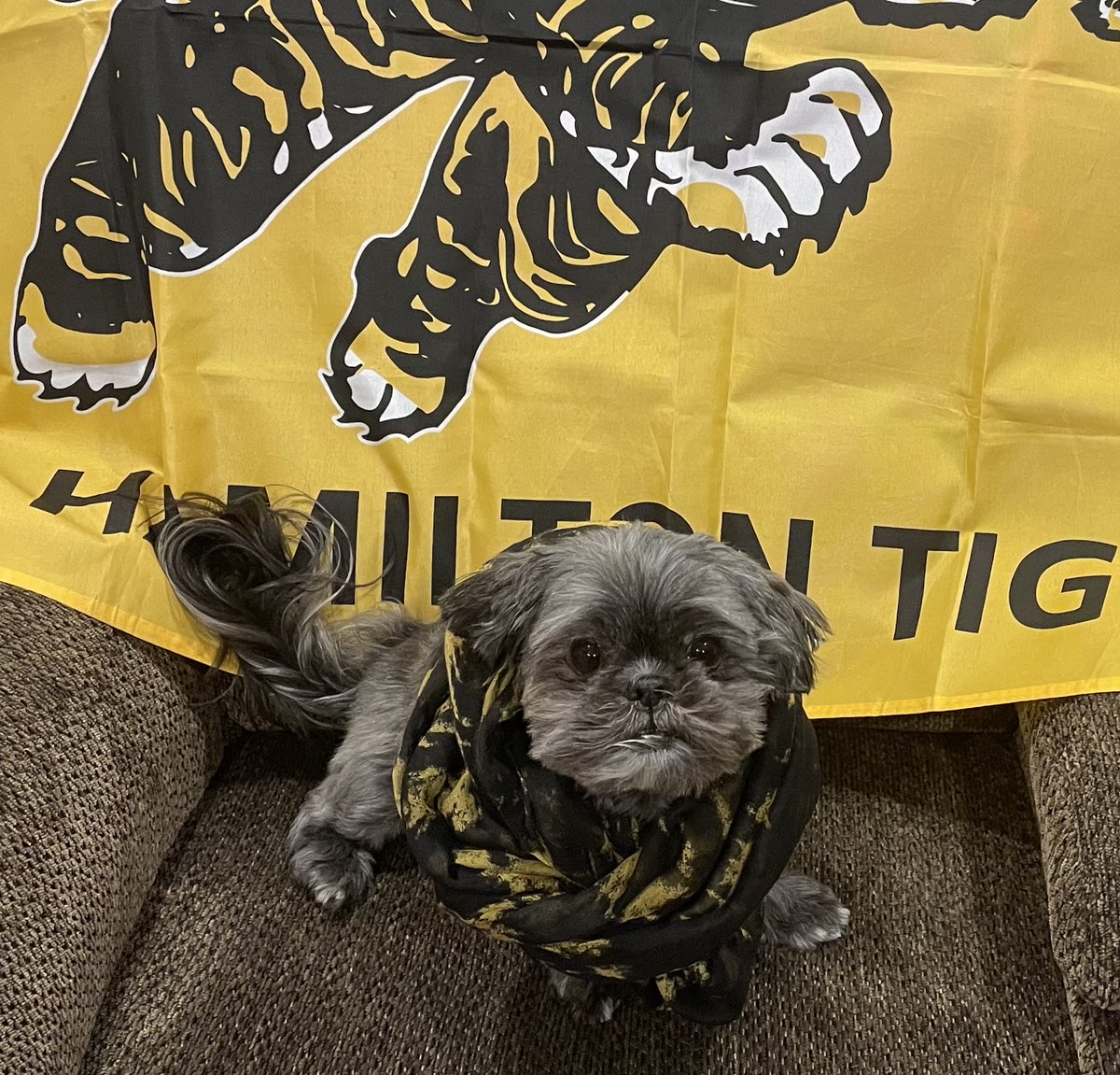 Ms. J. Marshall (She/Her) 🇨🇦 tweet media