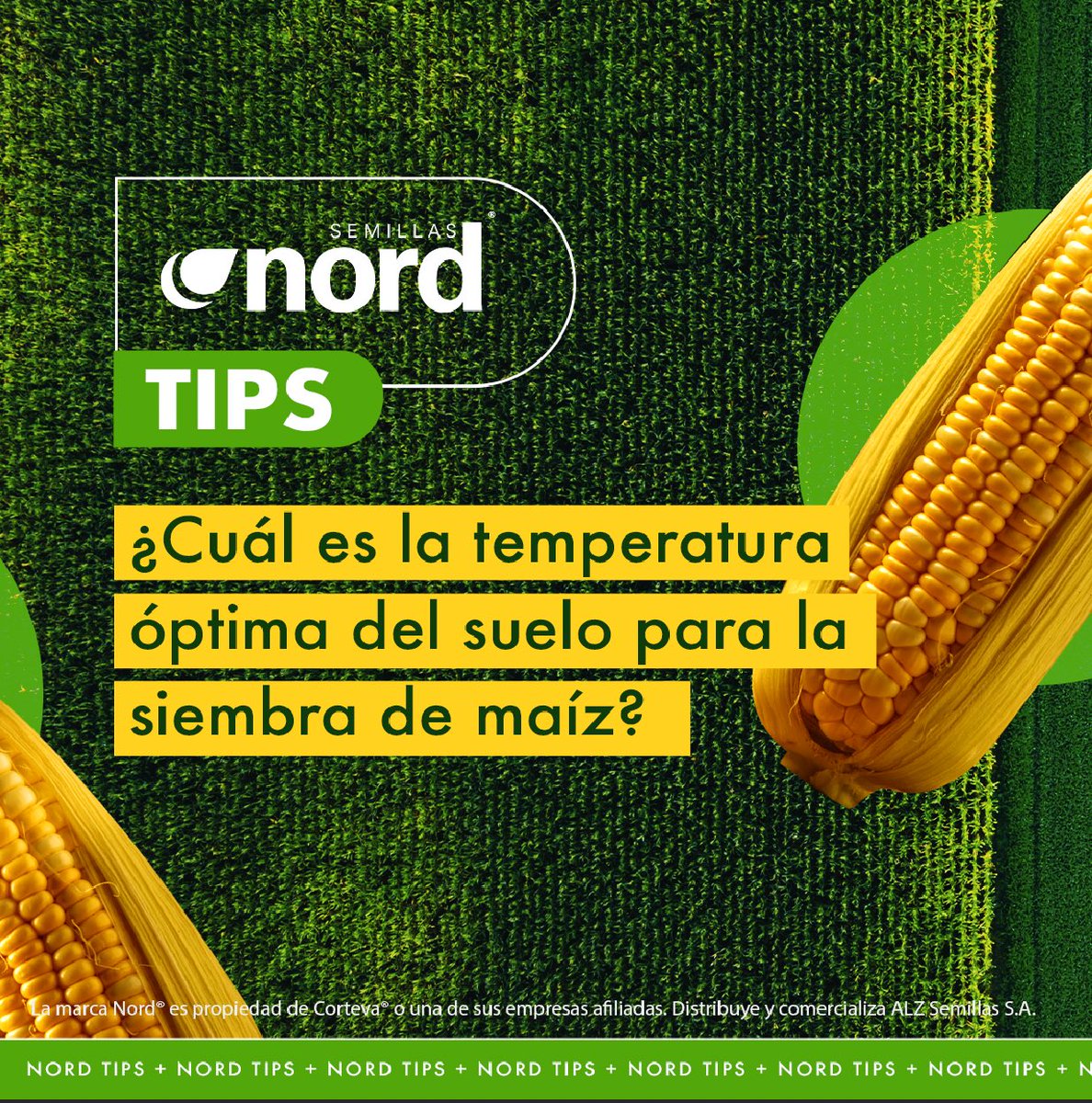 semillasnord's tweet photo. 🌽  Grandes desafíos nos esperan en este año Niño, pero en Nord estamos preparados para acompañarte con la mejor genética y calidad para superarlo y así maximizar tu rinde.
Para más info escribinos por inbox.  
#Maíz2023 #Maíz #Agro #Agricultura #CampoArgentino #nordsemillas https://t.co/MAnUwcrakf