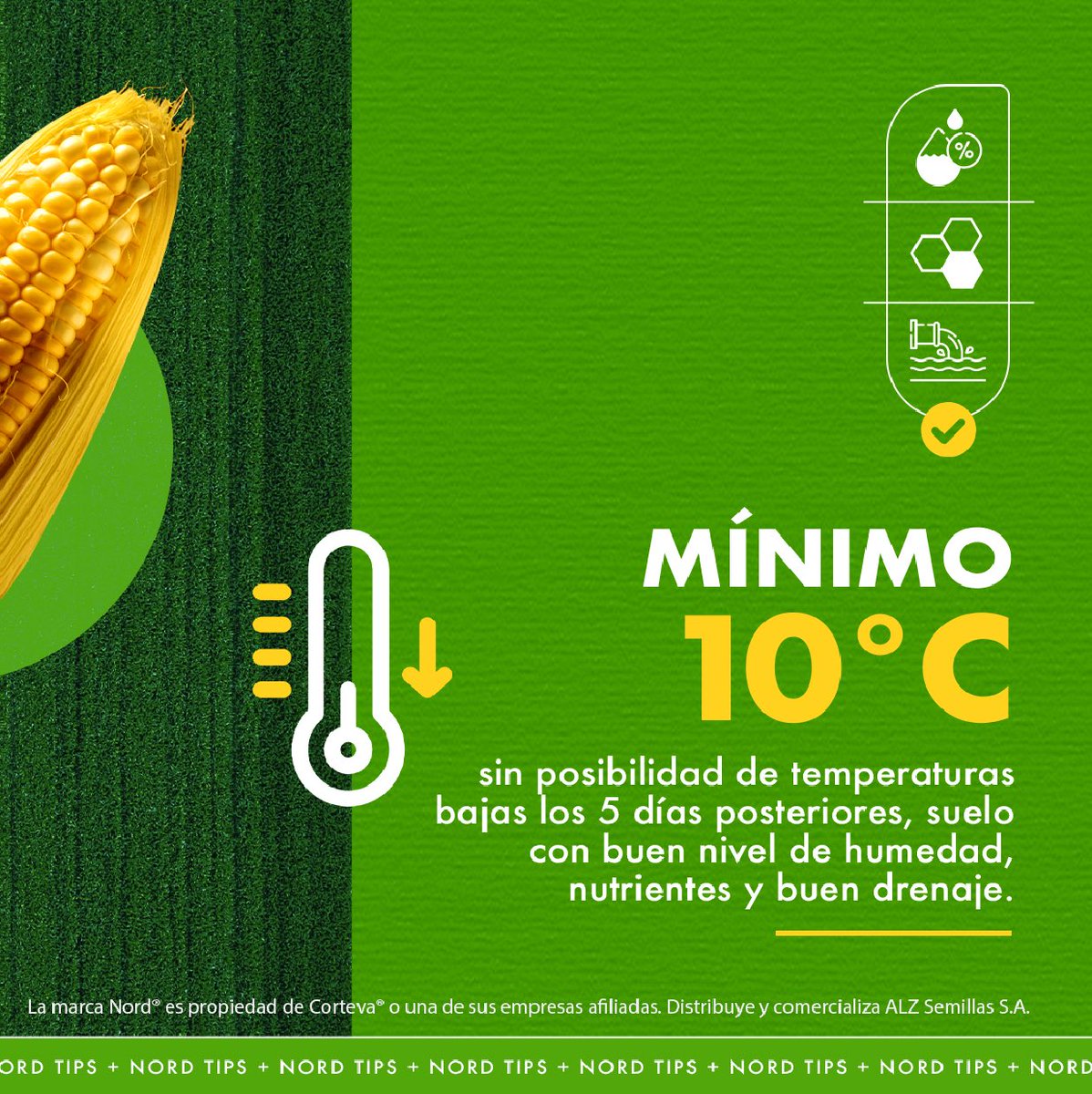 semillasnord's tweet photo. 🌽  Grandes desafíos nos esperan en este año Niño, pero en Nord estamos preparados para acompañarte con la mejor genética y calidad para superarlo y así maximizar tu rinde.
Para más info escribinos por inbox.  
#Maíz2023 #Maíz #Agro #Agricultura #CampoArgentino #nordsemillas https://t.co/MAnUwcrakf