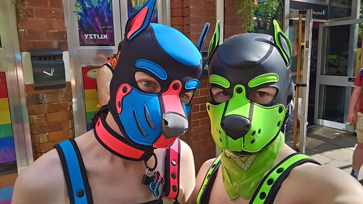 Pup Dexter 🐾 tweet media