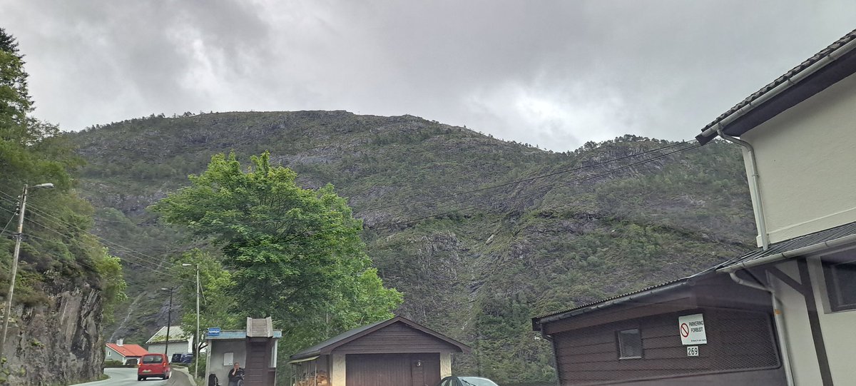 Lightfox tweet media