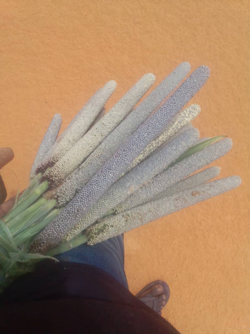 laminetar's tweet image. 