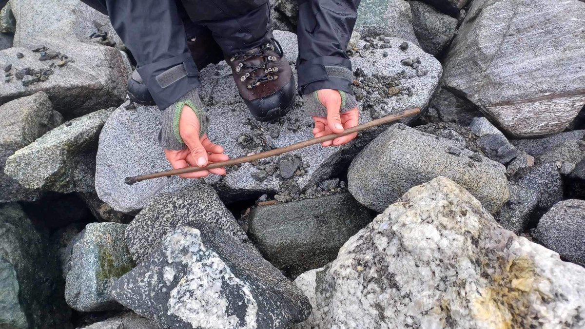 We have exciting news about the arrow that we found at Lauvhøe recently and posted here last week. Since it was broken at both ends, it was hard to date and we suggested that it might date to the Iron Age. Well, we were wrong!🙂