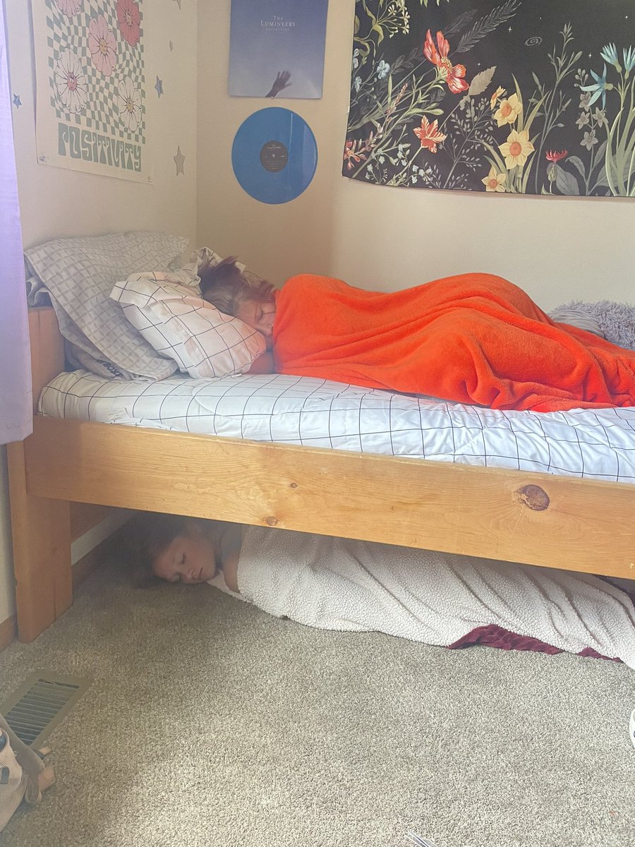 clamiiiii's tweet photo. bunk bed https://t.co/9NTjLM9ziC