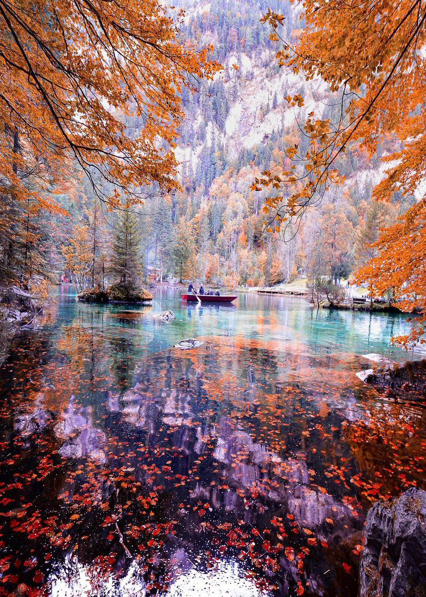 nerissaemy_520's tweet photo. Autumn in Blausee, Switzerland  by📸 sennarelax https://t.co/XzSFLi4AyD