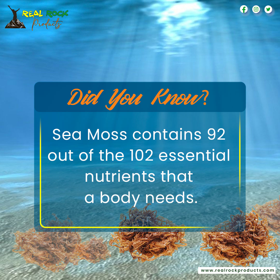 realproductz's tweet photo. Skin conditions, and viral infections, as well as just increasing your mood? It supposedly makes you feel rejuvenated overall.

🌐https://t.co/kUEdwfaKng
☏ (919) 288-5852

#jamaicanfood #sorrel #paradise #SeaMoss #SeaMossTransformation #drsebirecipes #alkaline #alkalinewater https://t.co/fRoLrrI0Vm