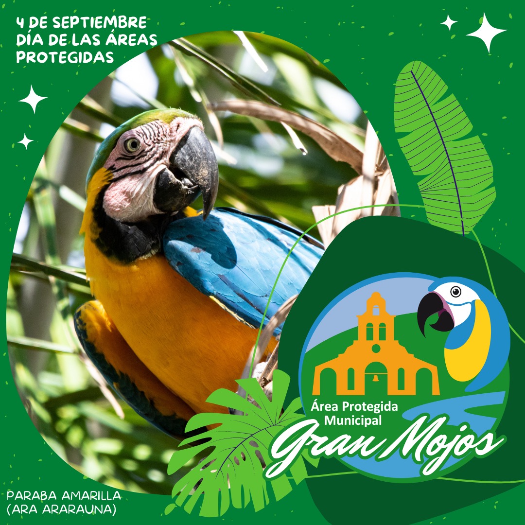 EltabanoPub's tweet photo. Hoy es el Día Nacional de las Áreas Protegidas y queremos invitarlos a seguir la cuenta de la APM "Gran Mojos" donde vivimos y trabajamos como centro ecoturístico "El Tábano Campestre" en Sachojere - Beni. 
https://t.co/0XhFPXX23H https://t.co/Xq0lY7ybDx
