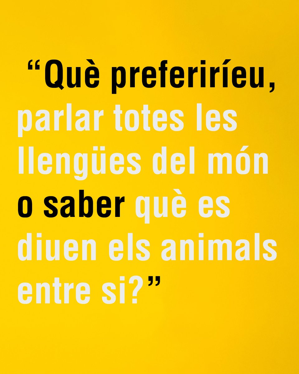 filolalia's tweet photo. “Què preferiríeu, parlar totes les llengües del món o saber què es diuen els animals entre si?” https://t.co/kCEW4a273y
