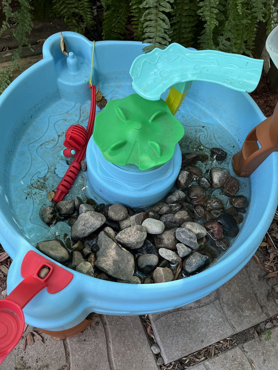 CTVLegacyTech's tweet image. Trying to figure out if my granddaughter has a potential career as an architect, stone mason, landscaper, or Parks Canada Ranger. #DayAfter #BackyardCleanup #Possibilities #NotThisOneJacques