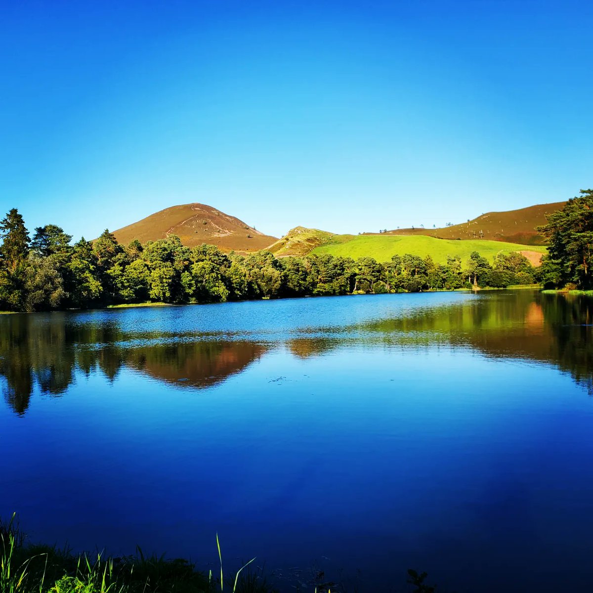 blonde_on_bikes's tweet photo. After work wind down walk around the lovely Bowden Loch and Eildon Hills π
#melrosepaths #scottishborders #eildonhills #eildonpaths #happyplace #wellnesswalk https://t.co/ijNEhgTVYC